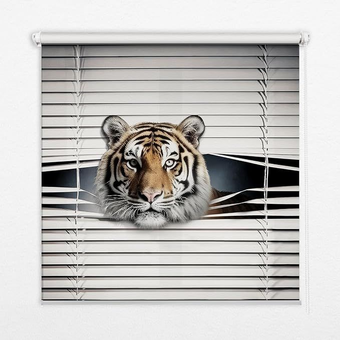 Custom Print Blinds